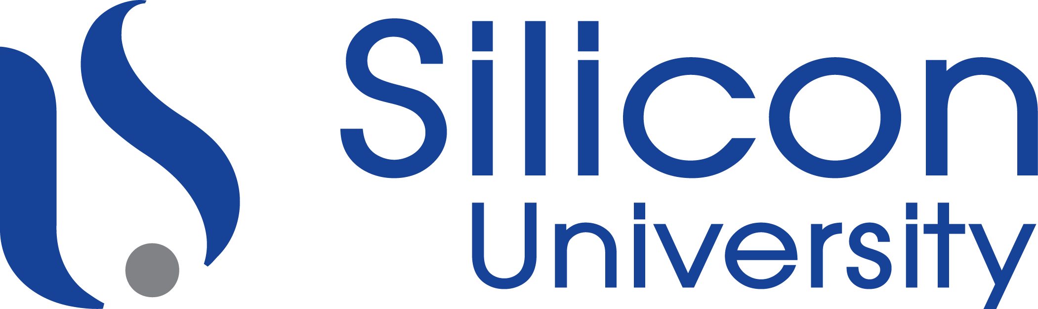 Silicon University