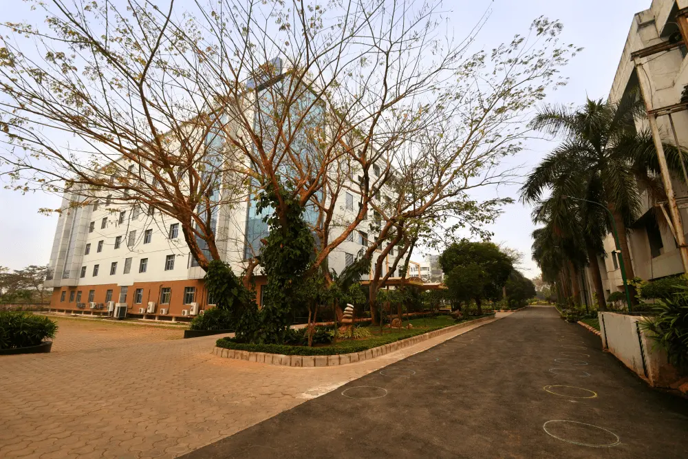 Silicon University